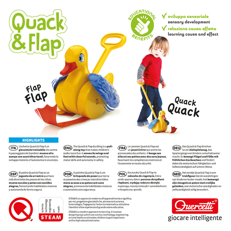 Quack & Flap